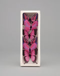AH57398 3" PLASTIC PAINTED BUTTERFLY PINK