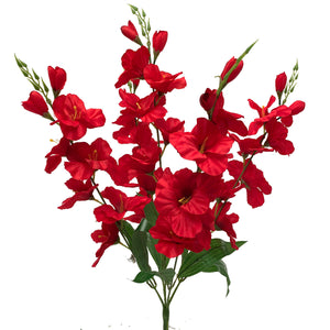 G43759RED GLADIOLA BUSH X5 28 RED