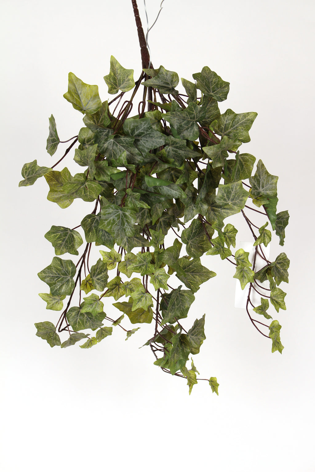 GB80241  28" GARDEN IVY FROSTED