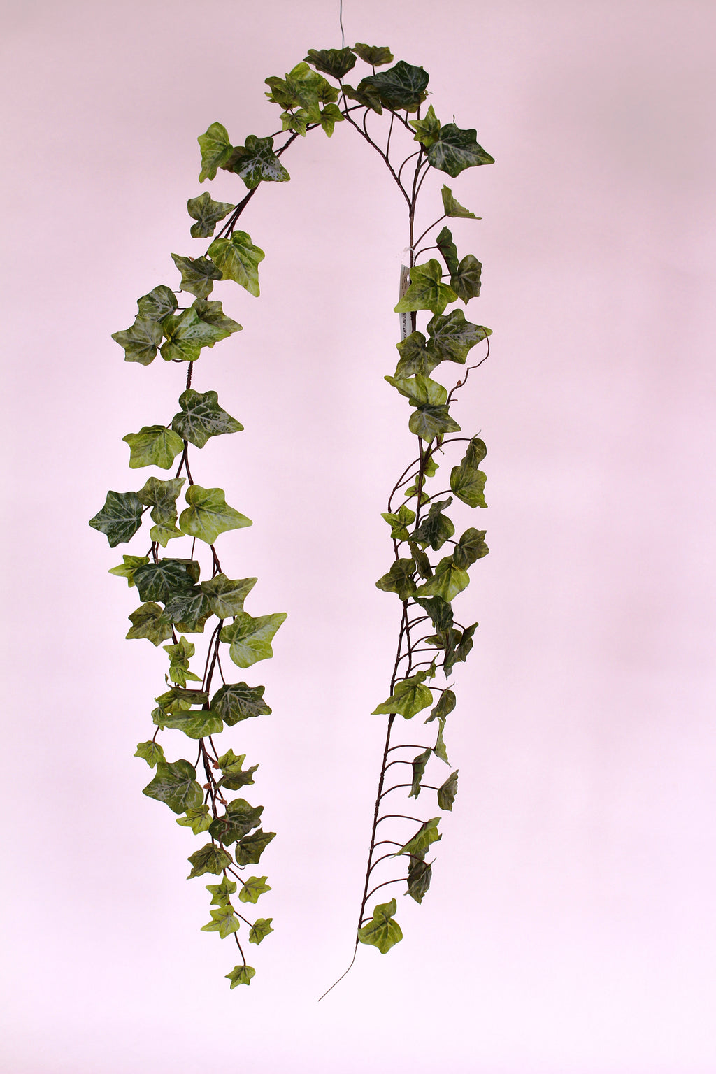 D234563 FROSTED 6 ft Garden Ivy Garland