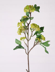 D265830 LIME 32" FLOWER SUCCULENT STEM