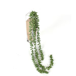 AG17743 25" STRING PEARL SUCCULENT DUSTY