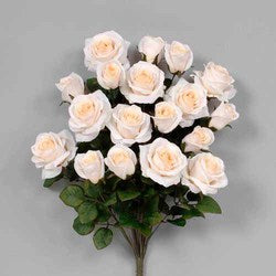 AS20757CR 21.5" GRANDIFLORA ROSE X 18 CREAM CHEESE