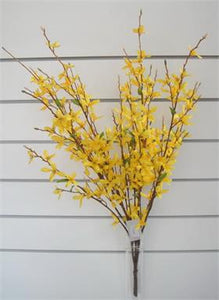 J2757-Y FORSYTHIA BUSH 31" YELLOW