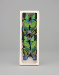 AH57398  3" PLASTIC PAINTED BUTTERFLY GREEN