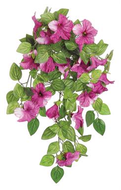 J4618-MAG PETUNIA BUSH/VINE X10 18" 3.25" BLOOMS MAGENTA