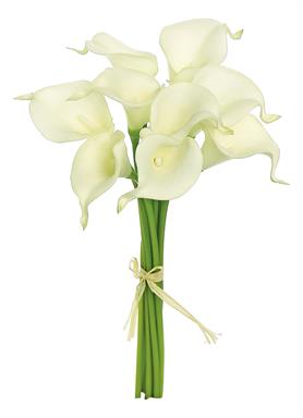 J5477-C MINI CALLA LILLY BUNDLE X9 CREAM