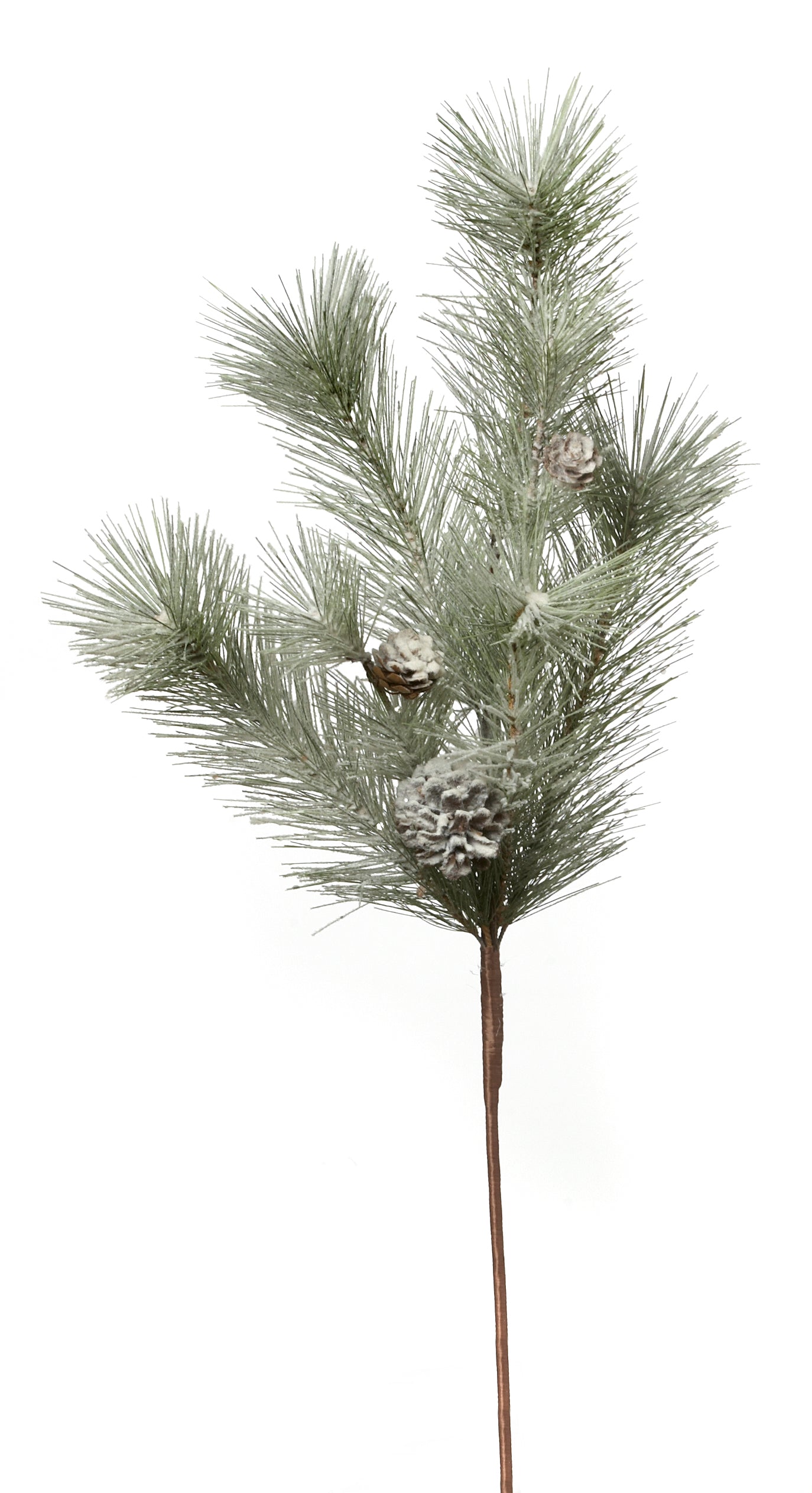 M411065 24" FROSTED MIXED PINE SPRAY