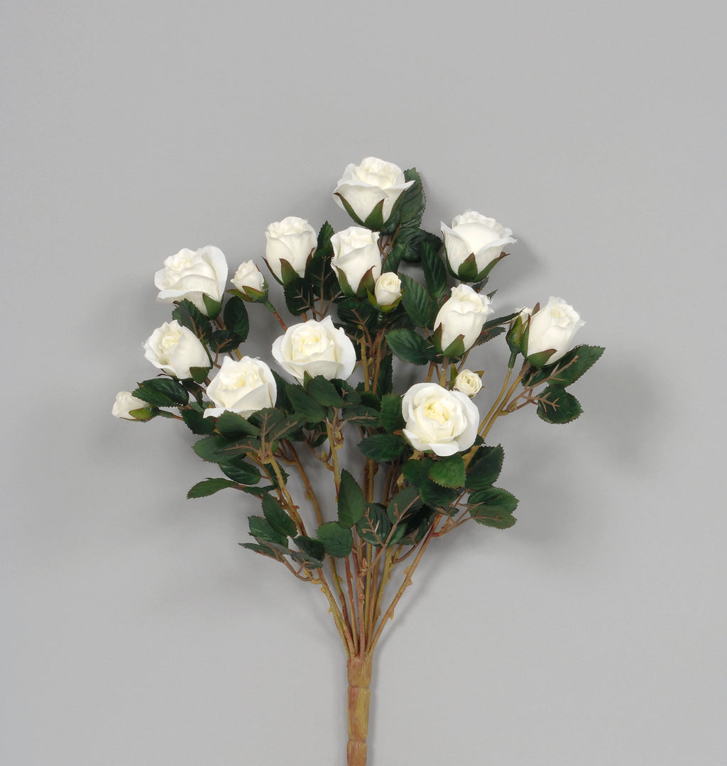 AS23938CRM 16"ROSE BUD BUSH