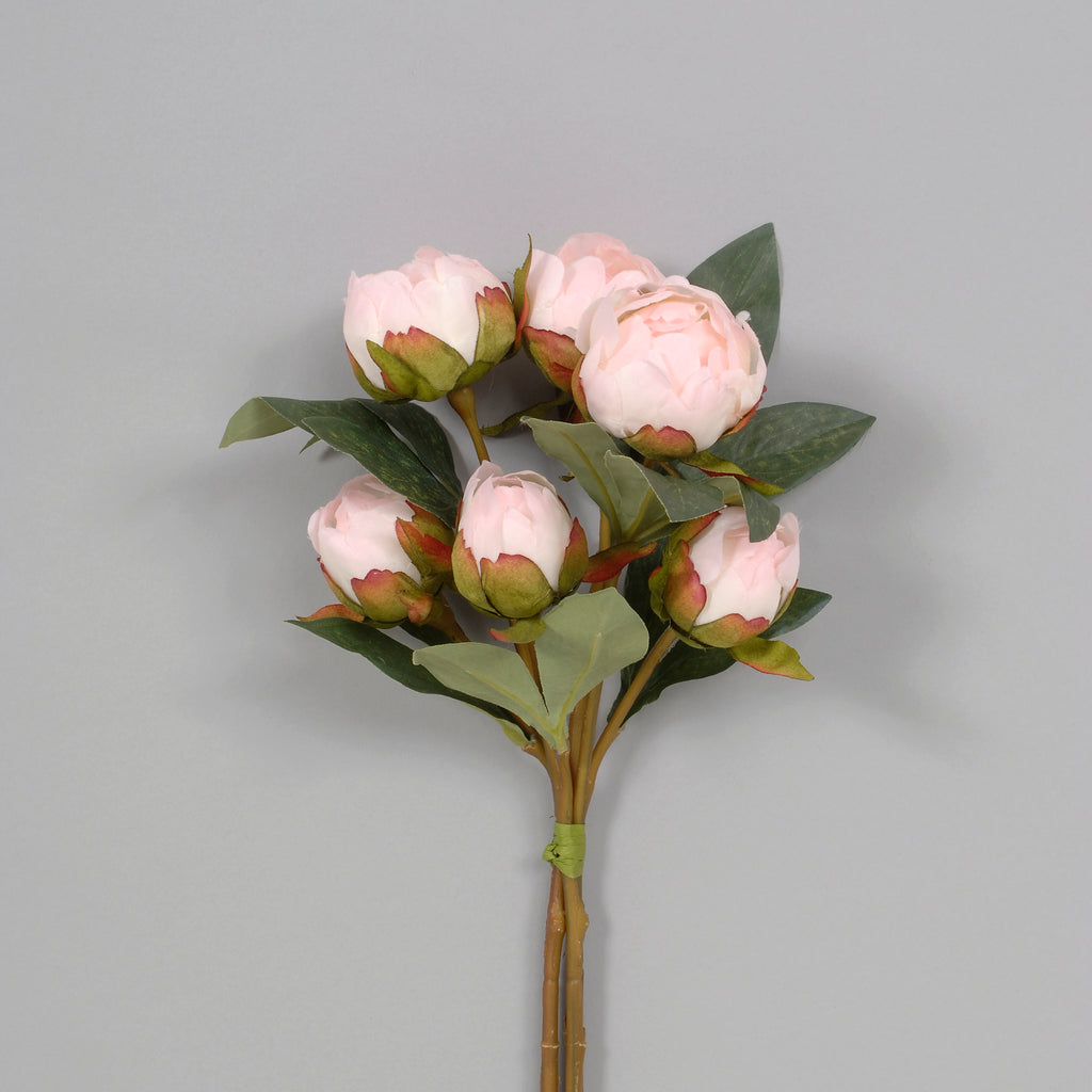 AS32477 SF/PK 13.5" PEONY BUD BUNDLE